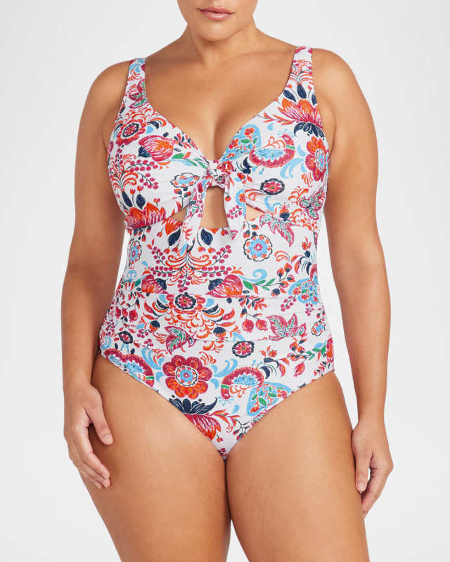 Loquacious Cezanne Underwire One-Piece Swimsuit (D/DD)